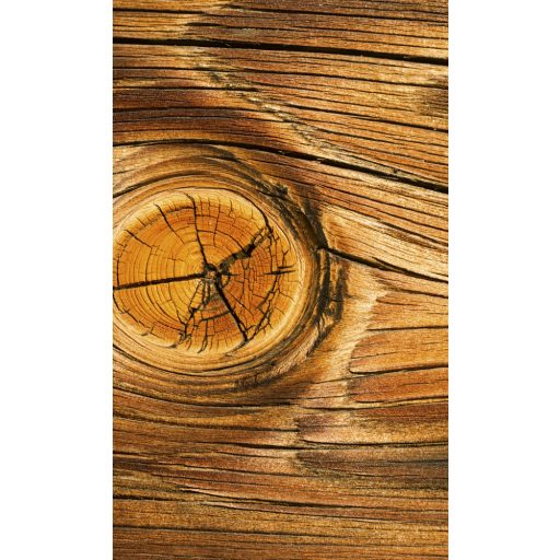 Fa erezete, poszter tapéta 150*250 cm