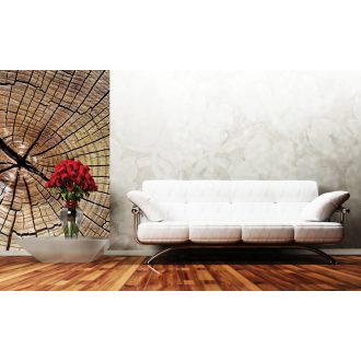 A fa töredezései, poszter tapéta 150*250 cm