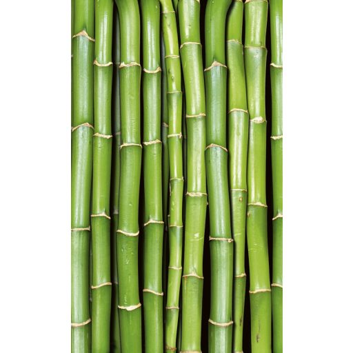 Zöld növény, poszter tapéta 150*250 cm