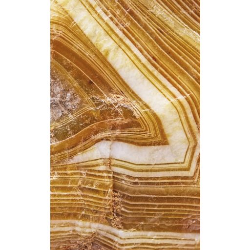 Narancssárga fakéreg, poszter tapéta 150*250 cm