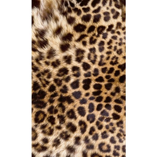 Leopárd, poszter tapéta 150*250 cm