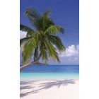 Álmodozás a tengerparton, poszter tapéta 150*250 cm