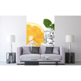 Citrom jégkockákkal, poszter tapéta 150*250 cm