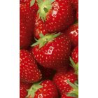 Eprek, poszter tapéta 150*250 cm