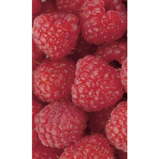 Málna, poszter tapéta 150*250 cm