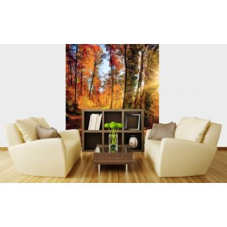 Varázslatos őszi tájkép, poszter tapéta 225*250 cm