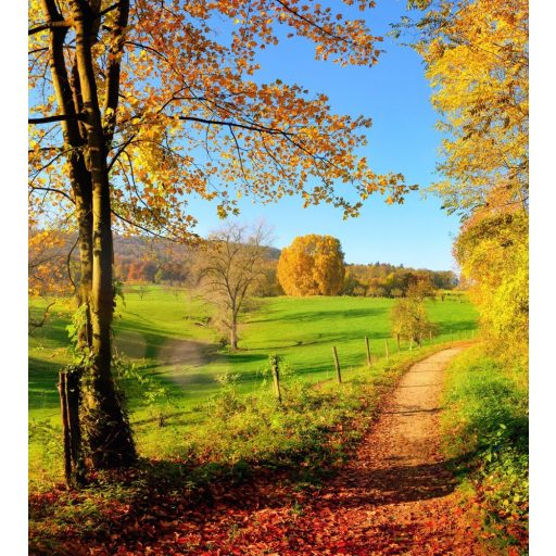 Varázslatos őszi panoráma, poszter tapéta 225*250 cm