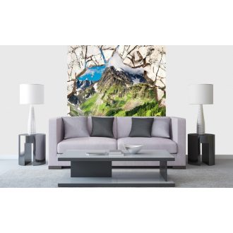 Áttört fal - tájkép, poszter tapéta 225*250 cm