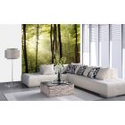 Fénycsóva az erdőben, poszter tapéta 225*250 cm