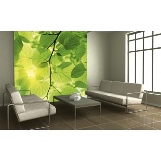 Falevelek közelsége, poszter tapéta 225*250 cm