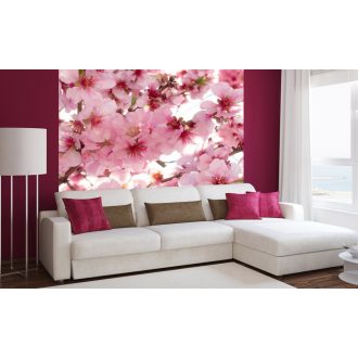 Cseresznyefa, poszter tapéta 225*250 cm