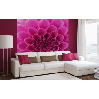 Rózsaszín virág közepe, poszter tapéta 225*250 cm