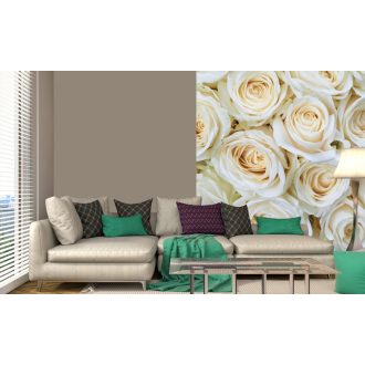 Fehér rózsafejek, poszter tapéta 225*250 cm