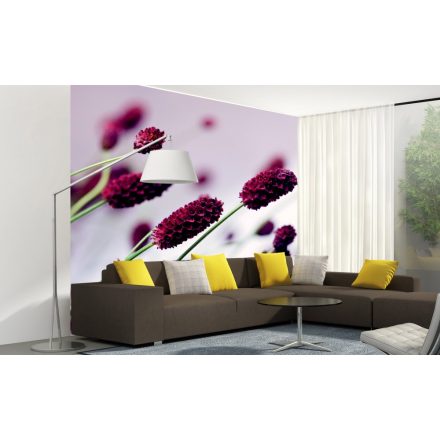 Lila virágszálak, poszter tapéta 225*250 cm