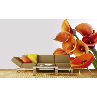 Kála, poszter tapéta 225*250 cm