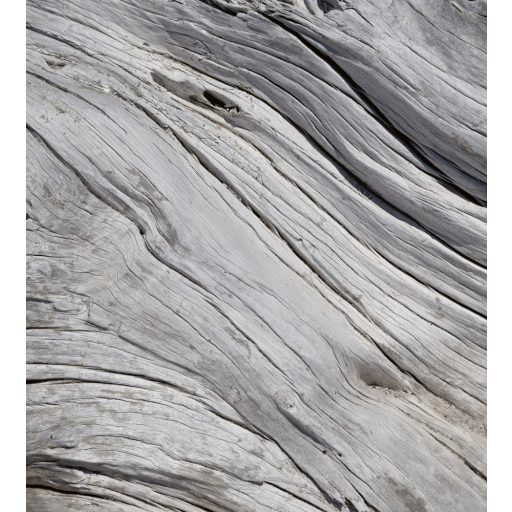 Szürke fakéreg, poszter tapéta 225*250 cm