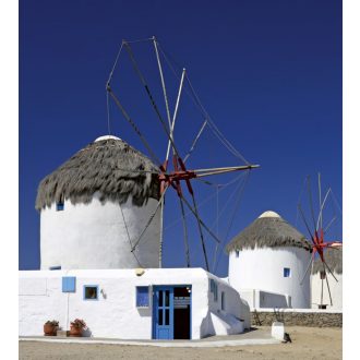 Viskók, poszter tapéta 225*250 cm
