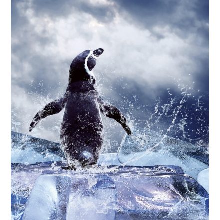 Pingvin a jégtömbön, poszter tapéta 225*250 cm