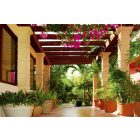 Virágos terasz, poszter tapéta 375*250 cm