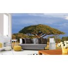 Fa széles lombbal, poszter tapéta 375*250 cm