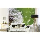 Szálló pitypang közelről, poszter tapéta 375*250 cm