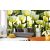 Fehér tulipánok, poszter tapéta 375*250 cm