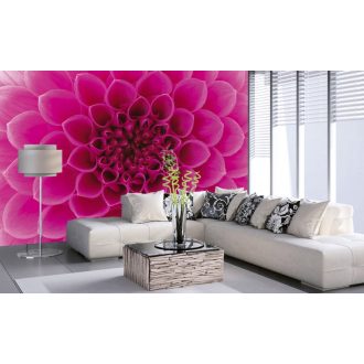 Rózsaszín virág közepe, poszter tapéta 375*250 cm