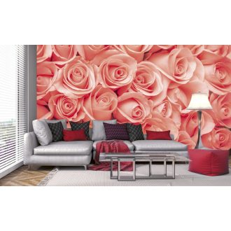 Rózsafejek, poszter tapéta 375*250 cm