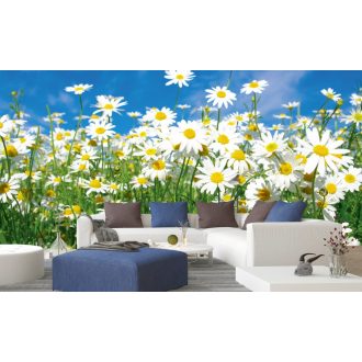 Napsütötte virágos rét, poszter tapéta 375*250 cm