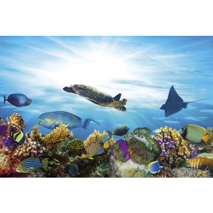 A tenger világa, poszter tapéta 375*250 cm