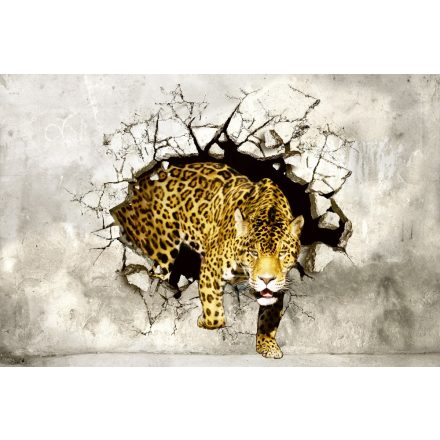 Falon áttörő tigris, poszter tapéta 375*250 cm
