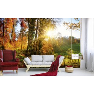Erdei panoráma ősszel, poszter tapéta 375*250 cm