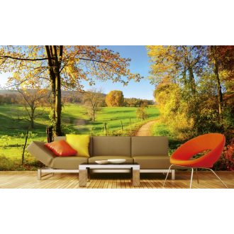 Őszi panoráma, poszter tapéta 375*250 cm