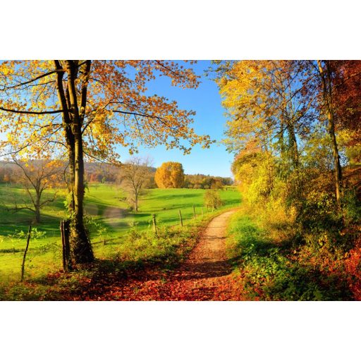 Őszi panoráma, poszter tapéta 375*250 cm