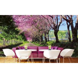 Rózsaszín virágos út, poszter tapéta 375*250 cm