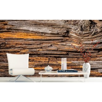 Öreg fa, poszter tapéta 375*250 cm