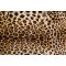 Leopárd, poszter tapéta 375*250 cm