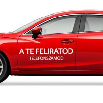 Egyedi autómatricák